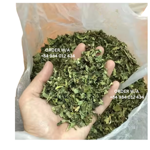 Tarifas de descuento en Extracto de flor de papaya masculina seca Grado a Los mejores precios para pedidos al por mayor Marca EXPAD - Product Image 3