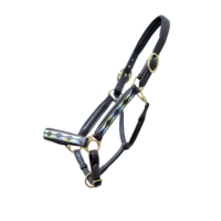 Vente en gros de l'ensemble complet d'endurance de cheval en cuir comprend des licous en PVC style bride équipement de pointe livraison directe disponible