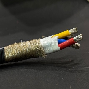 ตัวนำ10 AWG สายเคเบิล PTFE แรงดันสูง - Product Image 1