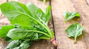 ÉPINARDS FRAIS CONGELÉS/SOURCE DE FER PLANTE/SANS ADDITIF/FEUILLE NATURE - Product Image 4