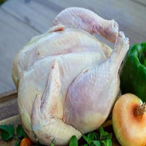 Vente en gros de poulet entier biologique congelé sans boîte Halal certifié avec vitamines et pieds de poulet parfait pour les restaurants - Product Image 5