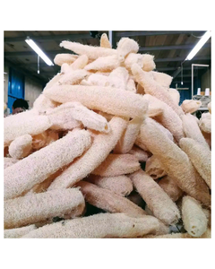 Éponge de loofah entière séchée naturelle et bio-responsable Vietchoice en gros, écologique et biodégradable, pour usage corporel des adultes - Product Image 1