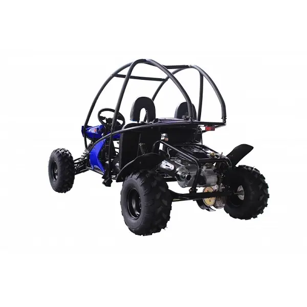 איכות 200CC מרכבה כביש ללכת Kart מפעל ישיר סיטונאי UTV עם ECC