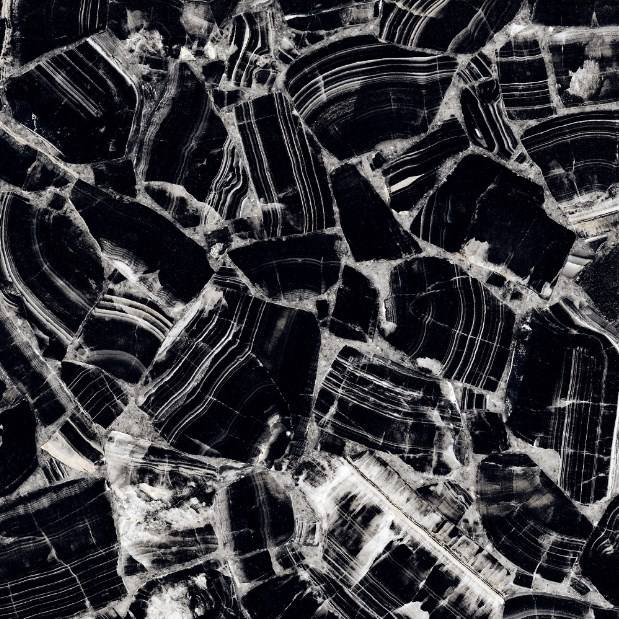 อกาธาสีดำ