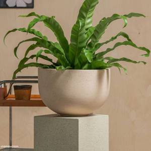 Macetas Grandes <span class=keywords><strong>de</strong></span> Fibra <span class=keywords><strong>de</strong></span> Cemento para Interiores y Exteriores con Orificio <span class=keywords><strong>de</strong></span> Drenaje para Exhibición <span class=keywords><strong>de</strong></span> Flores en el Hogar y el Jardín - Product Image 4