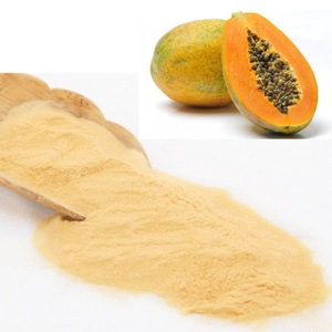 ผงมะละกอธรรมชาติเวียดนามสำหรับเครื่องเทศและสมุนไพร ผงผลไม้พีช - Product Image 1