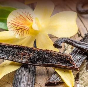 High Quality Natural Flavor Dried Vanilla <b>Beans</b> (Whole Pods) Long Shelf Life for Large Scale Importers Gourmet Food Producers - Product Image 4