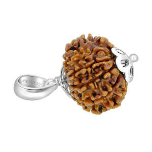 Pendentif Rudraksha 10 Mukhi népalais en argent 925, original et certifié, Rudraksha à dix faces, motif or rose, pendentif porte-bonheur - Product Image 3