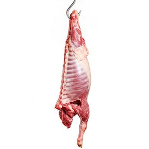 Carcasse d'agneau pleine congelée de qualité supérieure Fourniture en gros de viande de haute qualité prête pour l'exportation Expédition rapide et prix compétitif disponibles - Product Image 4
