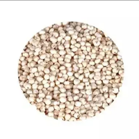Semillas de Sorgo Blanco Milo, Granos de Sorgo, Precio del Sorgo por Tonelada para la Venta