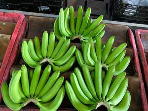 FRESH 100% BANANE CAVENDISH BIOLOGIQUE DU VIET NAM - PREMIUM EXPORT - Product Image 3