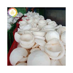 Carne en cubitos de coco blanco congelado en rodajas IQF Natural a granel empaquetado suministro de calidad de exportación tropical joven - Product Image 1