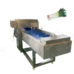 Good Price The Garlic Root Cut Vegetable And Fruit Cutting Machine With High Efficient