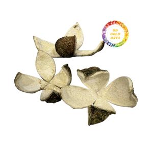 CÁSCARA DE NARANJA VERDE DESHIDRATADA DE ALTA CALIDAD, PIEL GRUESA, PERFECTA PARA BEBIDAS Y USOS CULINARIOS, CÁSCARA DE NARANJA SECA PURA - Product Image 4