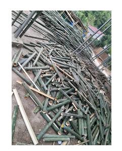 Vente chaude Naturel Bambou Poteau Cannes/Bambou Split Qualité De 99 Or Données Viet Nam - Product Image 1