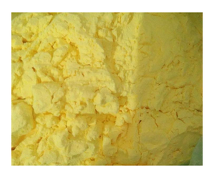 TURMERIC POWDER : TOP HIGH QUALITY TURMERIC POWDER - Product Image 1