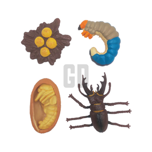 Chu kỳ tăng trưởng Bọ Cánh Cứng, từ trứng nhỏ đến lỗi hùng mạnh! - Product Image 1