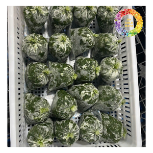 Hoja de yuca congelada, hojas de yuca congeladas de alta calidad, hoja de tapioca picada congelada, ideal para creaciones de alimentos - Product Image 1