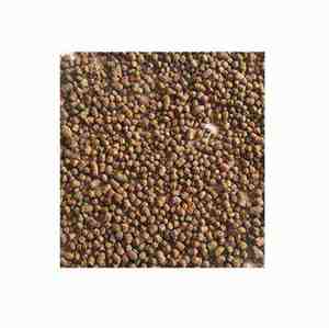 Alimento Flotante para Peces de Alta Calidad de la India, Nutrición Sostenible, Ideal para un Crecimiento Rápido, Cultivo de Peces Saludable y Ecológico - Product Image 4