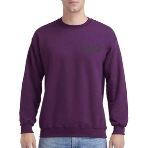 Sudadera de cuello redondo para hombre con logotipo personalizado, jersey en blanco, sudaderas de talla grande lisas de estilo informal de fabricante de Pakistán - Product Image 1