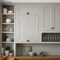 Kualitas tinggi Modular ramah lingkungan siap untuk merakit padat rak piring kayu kabinet PR3015 tampilan dapur OEM & ODM dukungan
