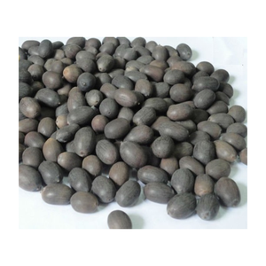 MEJOR PRECIO 100% AGRICULTURA ORGÁNICA SECAS NEGRAS DE LOTO SEMILLA DE LOTO DE ALTA CALIDAD AL POR MAYOR - Product Image 3