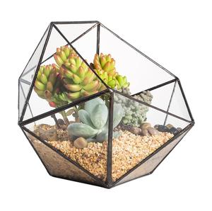 Excellent Quality <b>Glass</b> <b>Terrarium</b> For Living Room or Dining Room Decoration Item <b>Glass</b> <b>Terrarium</b> Hanging. - Product Image 6