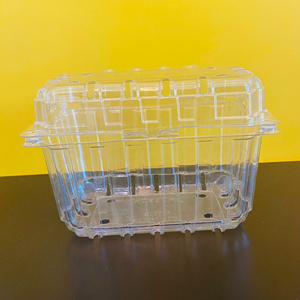 Factory Wholesale <b>Clear</b> PET Rectangle Packaging Container <b>with</b> <b>Lid</b> Custom Plastic Packaging <b>Box</b> - Product Image 4