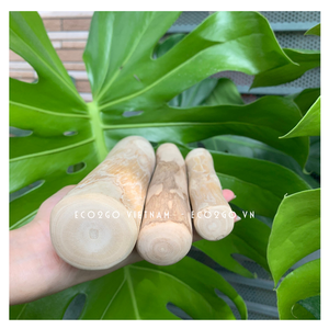 Palo de juguete para perro masticable de madera de café Natural 100% más vendido para perro precio barato de alta calidad hecho por Eco2go - Product Image 3