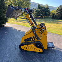 COMPRE LA CARGADORA COMPACTA HUAYEE LHY480