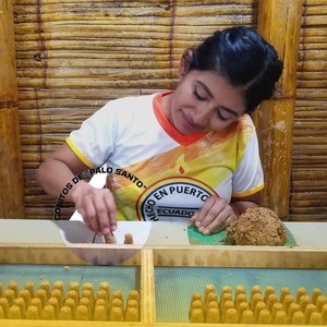 Cône d'encens Palo Santo de qualité ultra supérieure, aromatique, pour purification, en bois écologique, parfum d'anis étoilé - Product Image 3