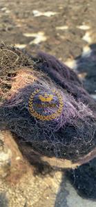 Quantité en vrac d'algues Gracilaria séchées/gélose Gracilaria standard d'exportation de haute qualité du Vietnam - Product Image 4