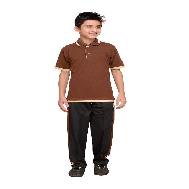 สีน้ำตาล