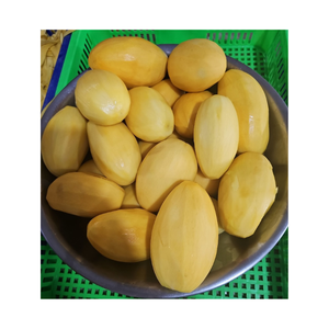 Iqf ชิ้นมะม่วงแช่แข็งทั้งก้อนต้นกำเนิดจากเวียดนามสำหรับน้ำผลไม้ขนมสมูทตี้บรรจุจำนวนมากสินค้าส่งออก - Product Image 6