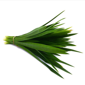 Hoja de pandan seca de excelente calidad a granel con el precio más bajo, hojas de pandan listas para exportar - Product Image 3