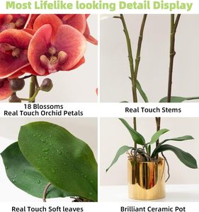 THAOF-112 ขายส่งดอกไม้ประดิษฐ์ Phalaenopsis สีขาวประดิษฐ์กล้วยไม้ดอกไม้ต้นกําเนิดสําหรับตกแต่งบ้าน - Product Image 2