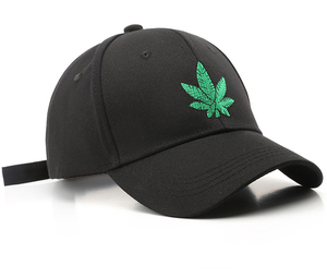 Gorra de Béisbol de 6 Paneles con Logotipo, Gorras Deportivas de Golf Ajustables, Gorras Personalizadas con Bordado de Alta Calidad, Recuerdo Unisex para Adultos y Niños - Product Image 3