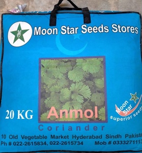 Semillas de Cilantro Moon Star Evergrow Anmol, 99% de Pureza, 85% de Germinación - Product Image 2