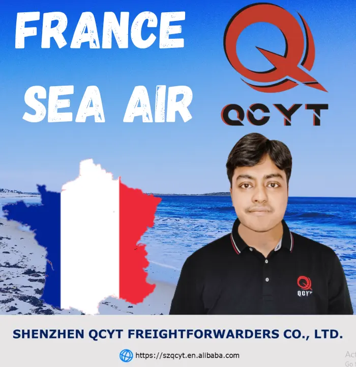 Best shipping service from Shenzhen China to France door to DDP service to fba by SEA and AIR