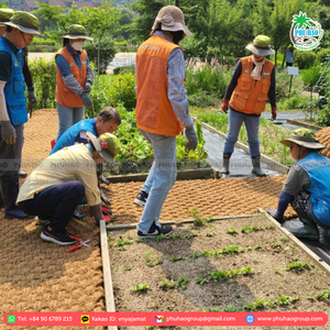 HOT PRODUCT Quality PALM MAT/COIR <b>BLANKET</b>: Perfect for Home Textiles and Eco-Friendly Solutions Made From 100% Coconut Fiber - Product Image 6