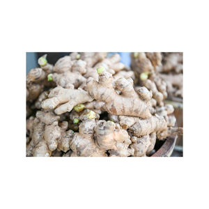 Compre jengibre para aliviar los dolores de cabeza por migraña - Product Image 4