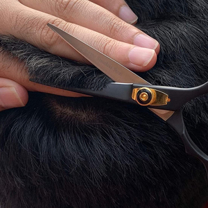 Juego de Tijeras Profesionales de Acero Inoxidable para Peluquería y Belleza, con Punta de Cuchilla Afilada - Product Image 6