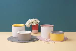 Korea Luxury Handmade Ceramic Pet Bowl Set for <b>Cats</b> & Dogs high-fiber satisfying kitty-favorite all-ages small-breed convenient - Product Image 4