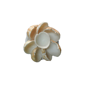 Carne de coco congelada IQF rica en sabor y nutrientes, perfecta para la fabricación de bebidas de procesamiento de alimentos y la producción de postres - Product Image 5