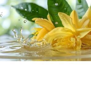 น้ำมันหอมระเหยกระดังงาธรรมชาติบริสุทธิ์สารสกัดจากสมุนไพรป่าที่ปลูกในรูปของเหลวบรรจุขวดบรรจุกระป๋องบรรจุอยู่ในบรรจุภัณฑ์ถัง - Product Image 3