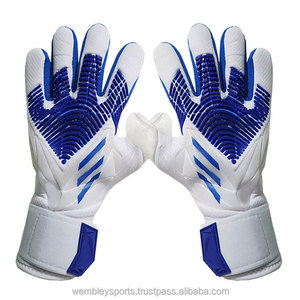 Gants de gardien de but professionnels avec logo personnalisé, gants de football, gants de gardien de but pour l'entraînement en plein air, pour hommes et femmes - Product Image 1