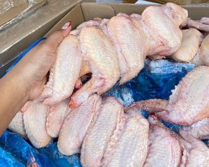 Alas de Pollo Halal Congeladas Baratas, Alas de Pollo con 3 Articulaciones, Paquete a Granel, Vitaminas Nutritivas, 12 Meses de Caducidad, Calidad Premium 100% - Product Image 1