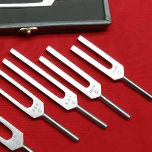 5-Piece Steel Manual Tuning Fork Set for Medical Surgical Chiropractic <b>Physical</b> Diagnostic Instruments - Product Image 4