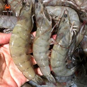 Mejor Oferta: Camarones Vannamel Congelados, Mariscos Congelados, Deliciosos Camarones Vannamel Congelados para las Fiestas - Product Image 1