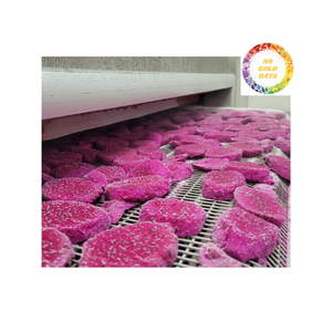 Dragon fruit rouge congelé de qualité supérieure, exporté du Vietnam, prêt à l'emploi, emballé pour la restauration et la vente au détail - Product Image 2